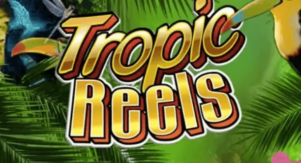 Tropic Reels